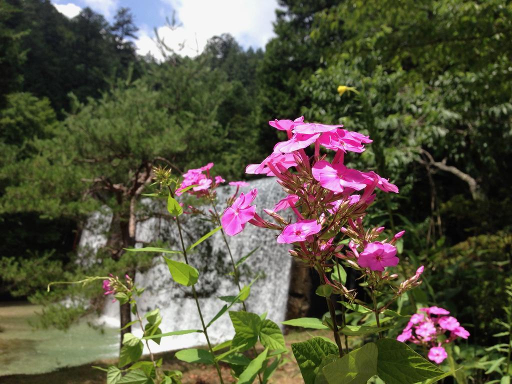 נגיסו Takimi Onsen Inn That Only Accepts One Group Per Day מראה חיצוני תמונה